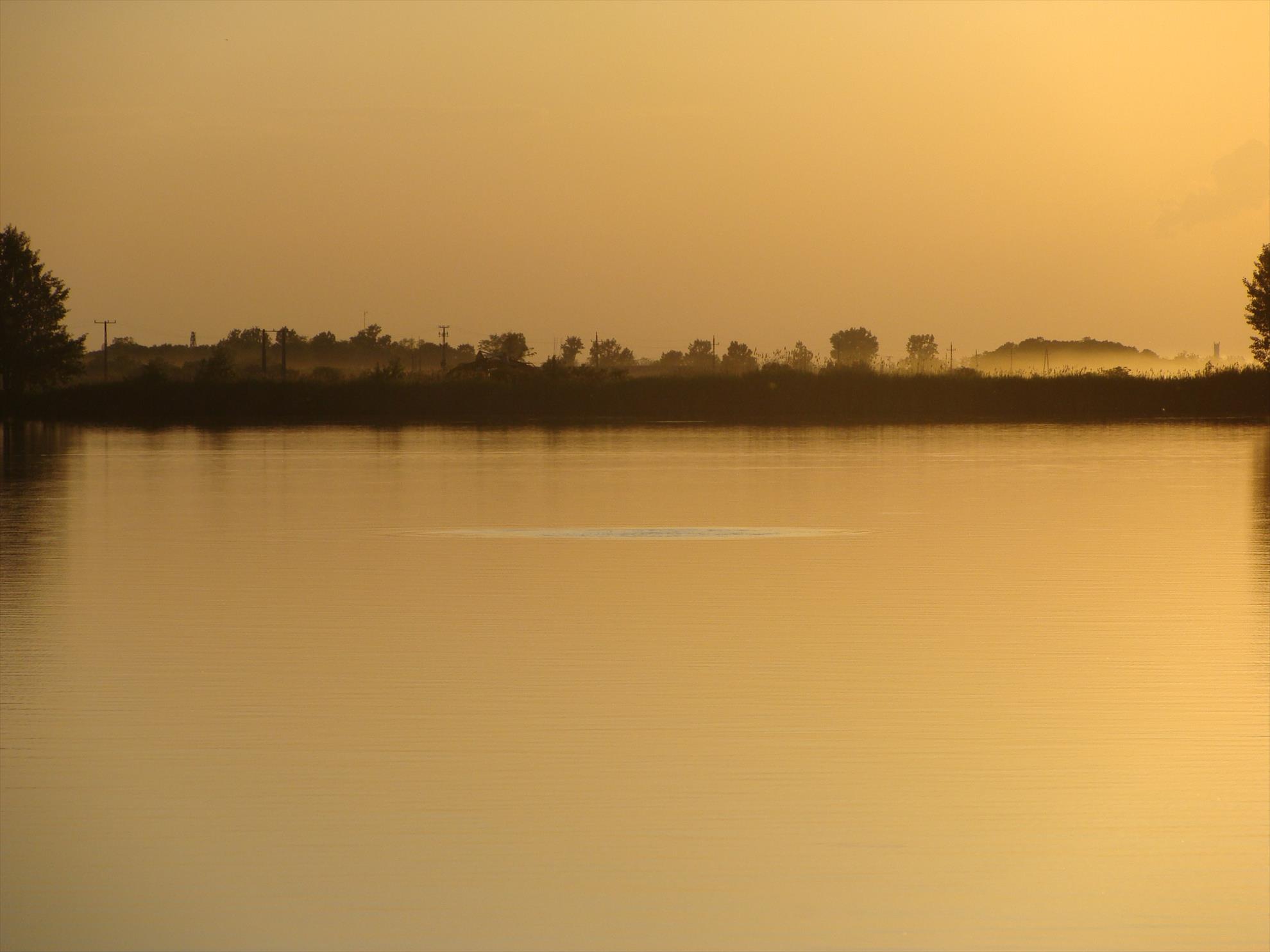 Pasiune - dsc04347.JPG